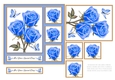 Lovely Watercolor Roses N Butterflies Birthday