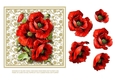 Lovely Red Poppies 