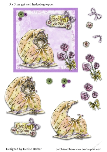 Hedgehog - Get Well 5 x 5 ins card topper and decoupage 