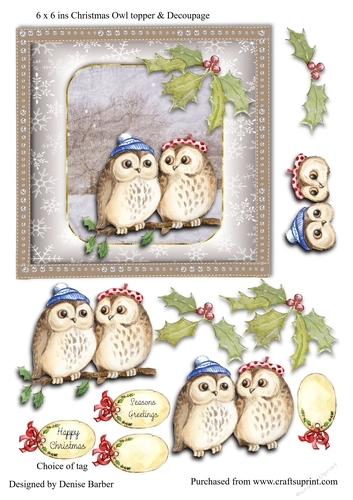 300dpi -  6 x 6ins Christmas Owls topper, decoupage and tags