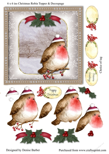 300dpi 6 x 6ins Christmas Robin card topper & decoupage, choice of tag
