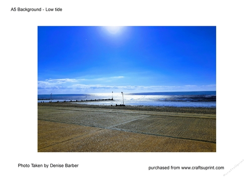 A5 Background - original photo - low tide