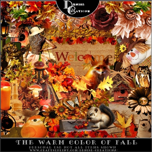 The Warm Colors of Fall