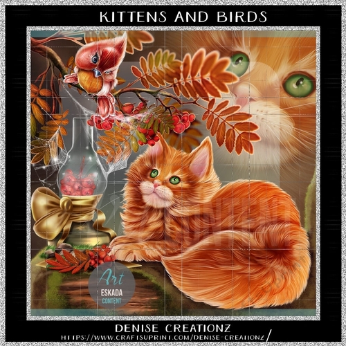 Kitten and Birds