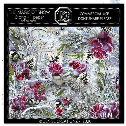 The Magic of Snow