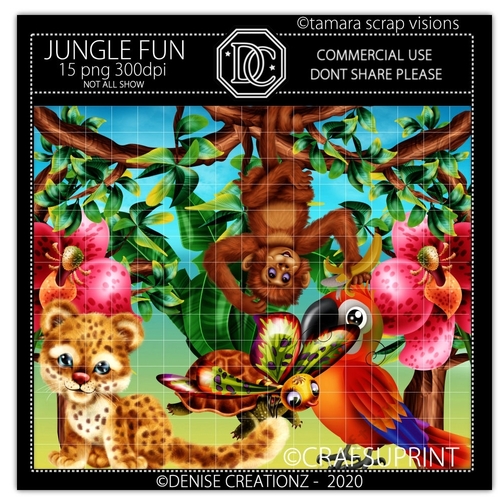 Jungle Fun