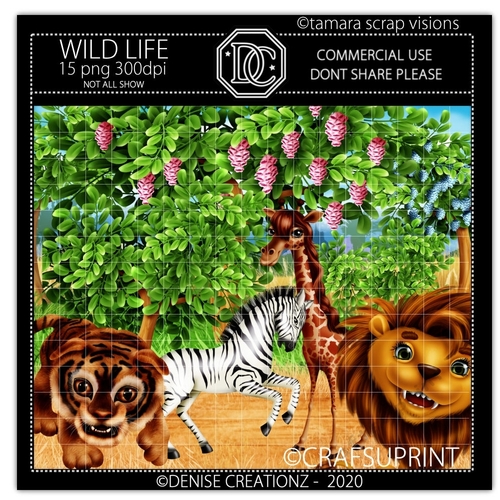 Wild Life