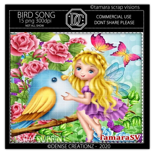 Bird Song