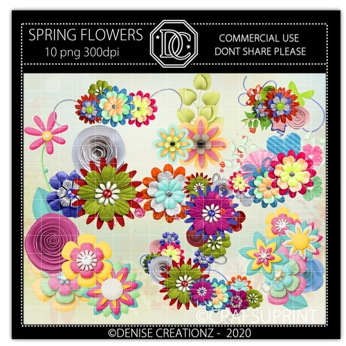 Spring Flowers