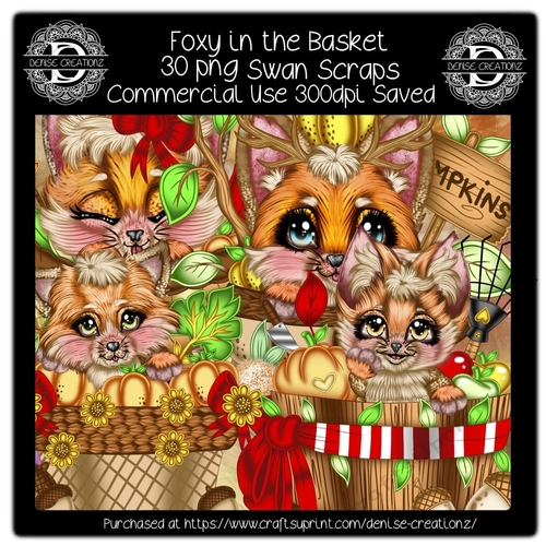 Foxy in the Basket