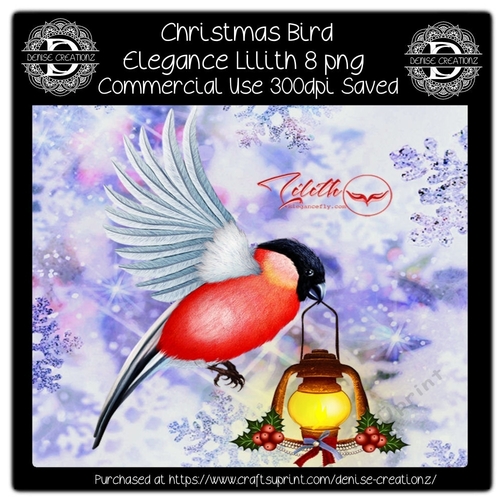 Christmas Bird