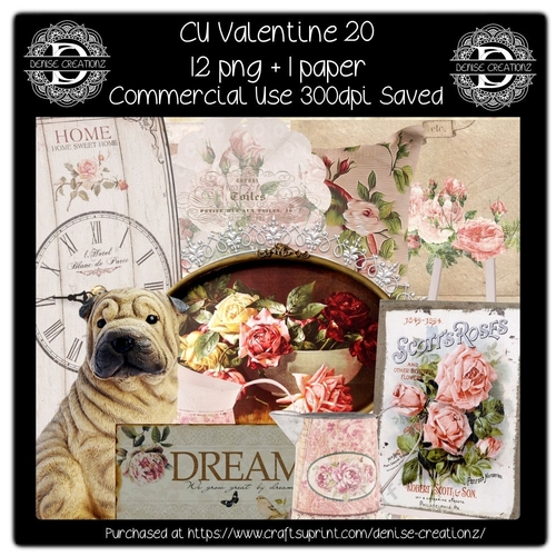 CU Valentine 20