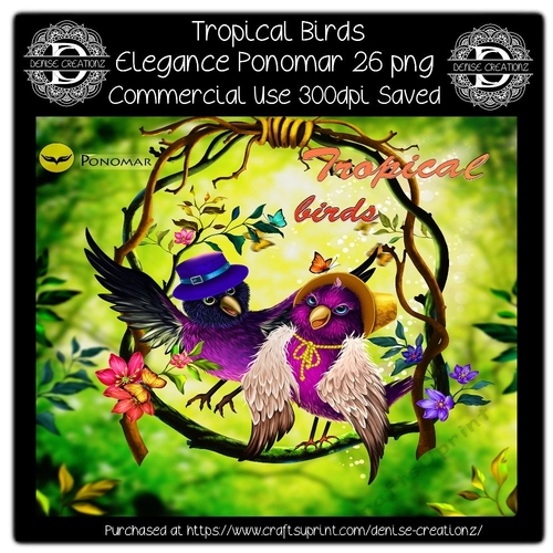 Tropical Birds