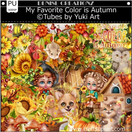 My Favorite Color is Autumn