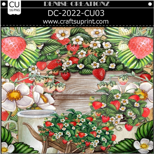 DC-2022-CU03