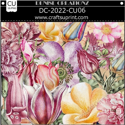 DC-2022-CU06