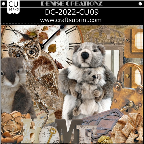 DC-2022-CU09