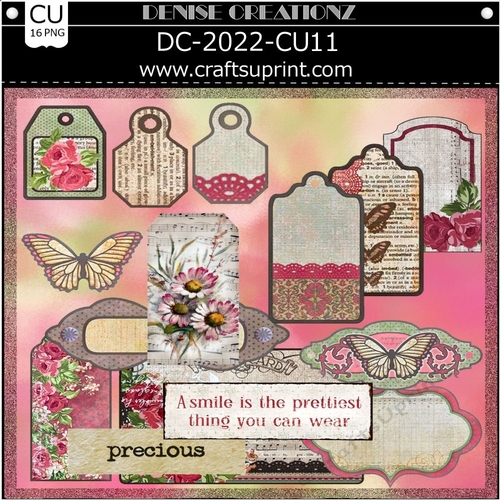 DC-2022-CU11