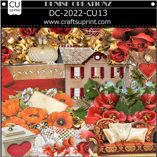 DC-2022-CU13