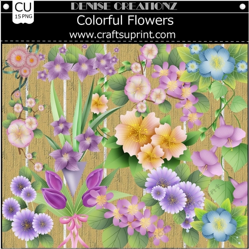 Colorful Flowers