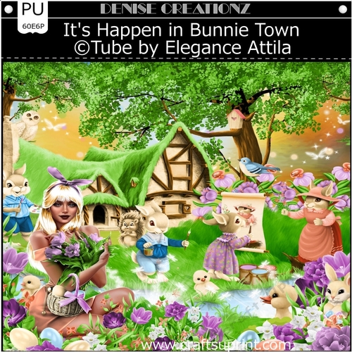 Its Happen in Bunnies Town