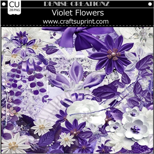 Violet Flowers