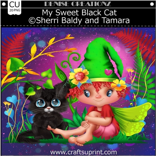 My Sweet Black Cat