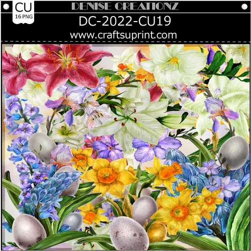 DC-2022-CU19