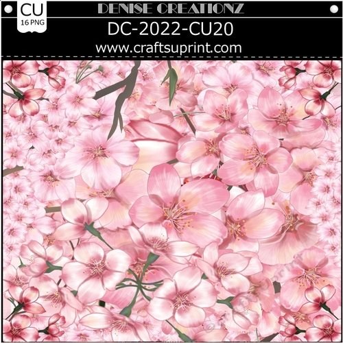 DC-2022-CU20