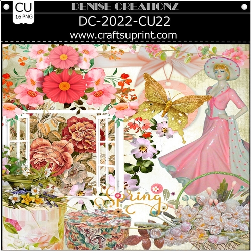 DC-2022-CU22