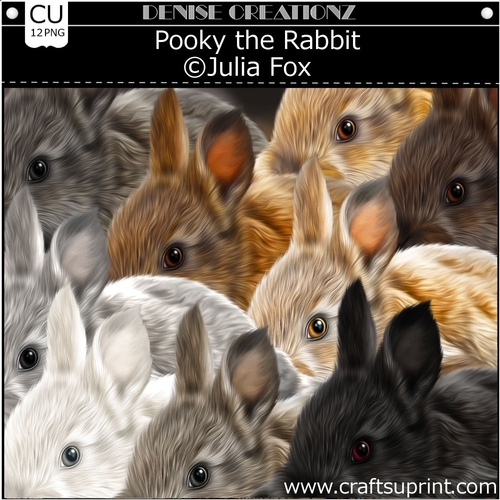Pooky The Rabbit