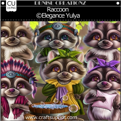 Raccoon
