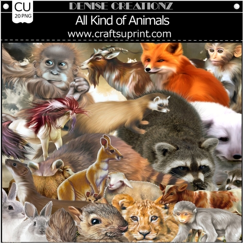 All Kind of Animals