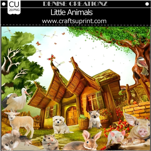 Little Animals