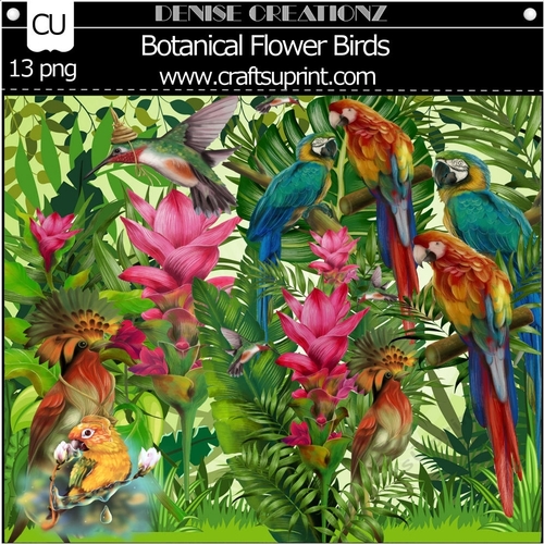 Botanical Flower Birds