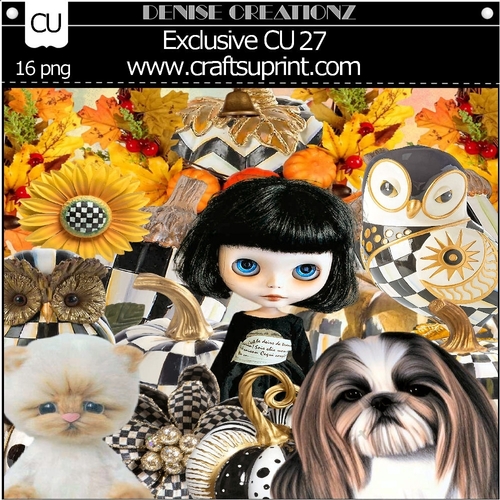 Exclusive CU 27