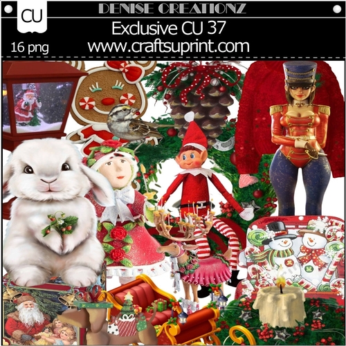 Exclusive CU 37