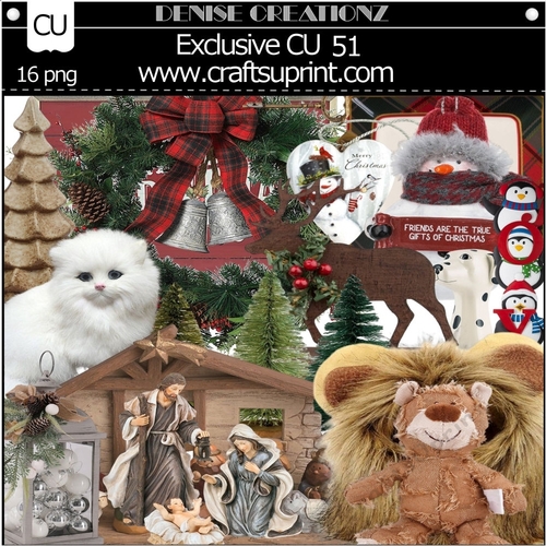 Exclusive CU 51