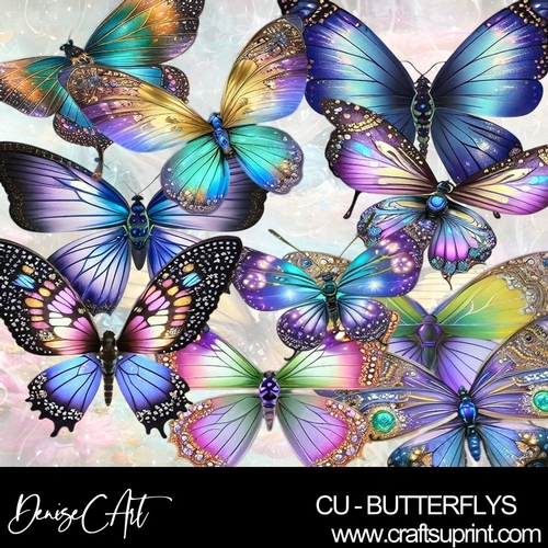 CU BUTTERFLYS