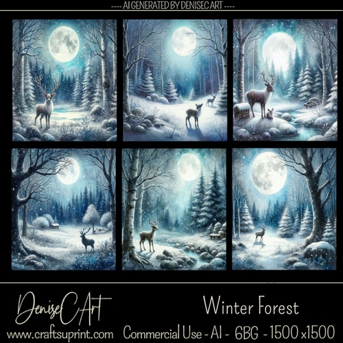Winter Forest