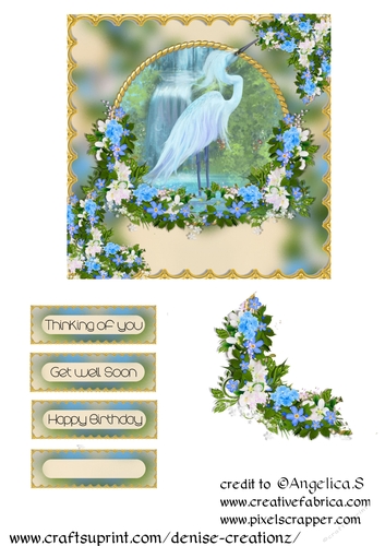 DC Card 01 