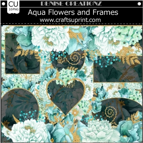 Aqua Flowers and Frames