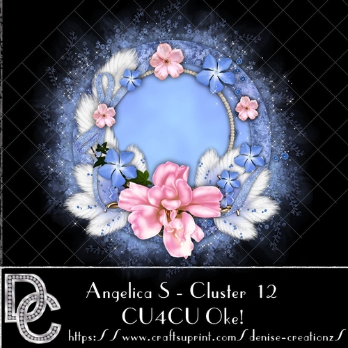DC AS Cluster 12