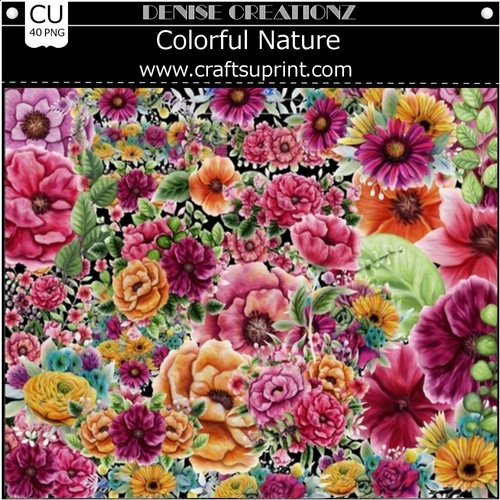 Colorful Nature