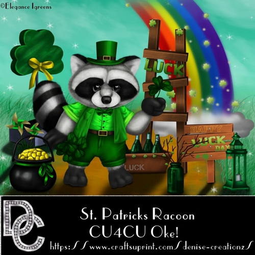 St Patricks Racoon