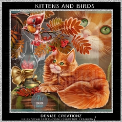 Kitten and Birds