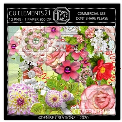 CU Elements 21