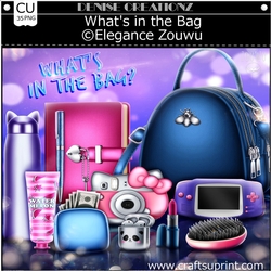 Whats in the Bag