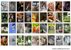 Cats Stamps