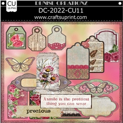 DC-2022-CU11